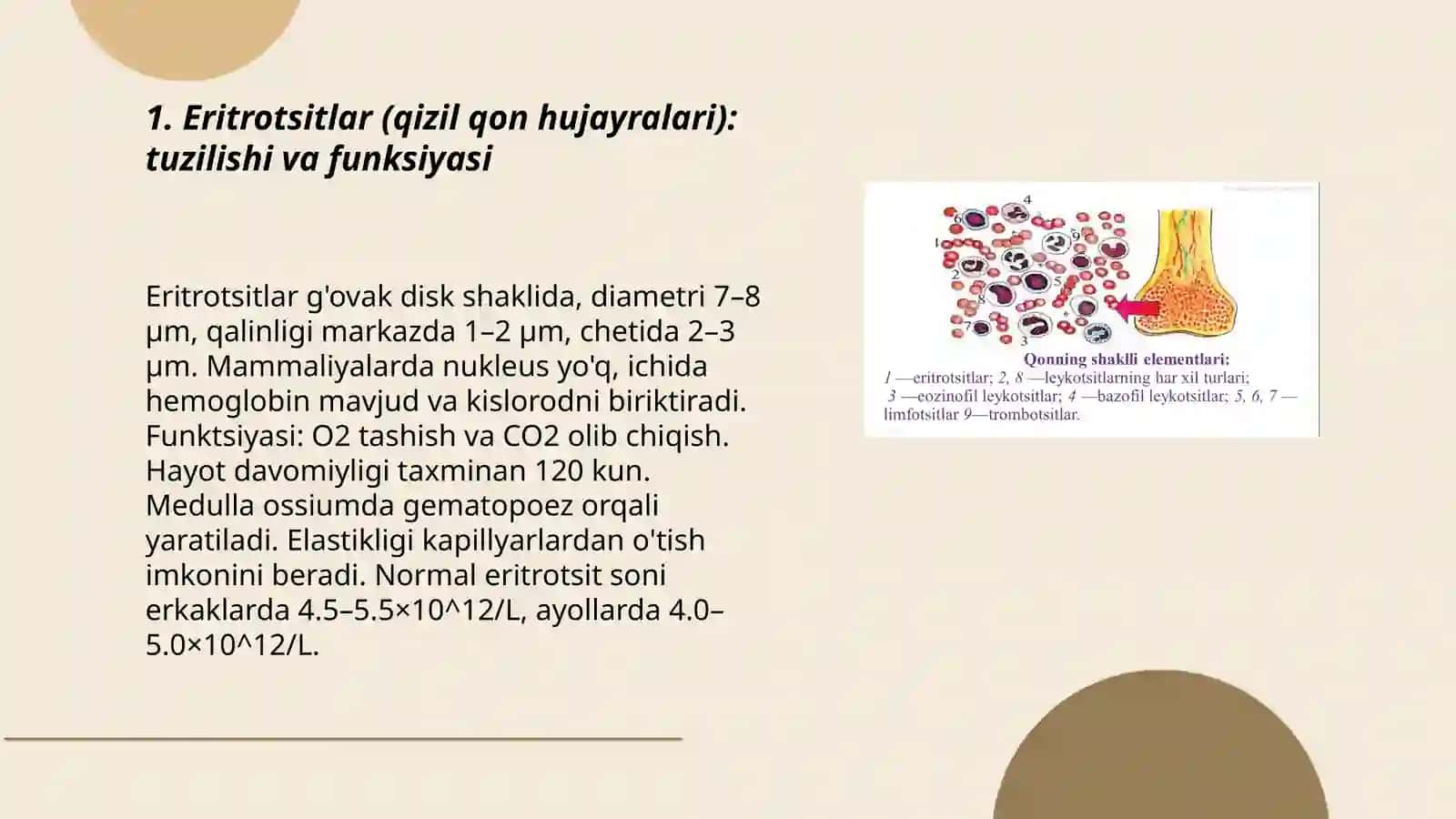 Qonning shaklli elementlari 3