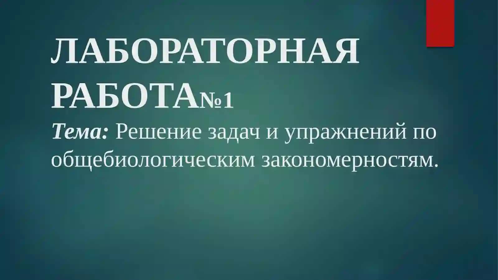 ЛАБОРАТОРНАЯ РАБОТА №1 3