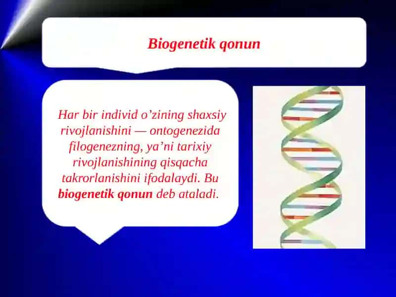 Aitrpogenezningpaleontoloqikfandalillari 3