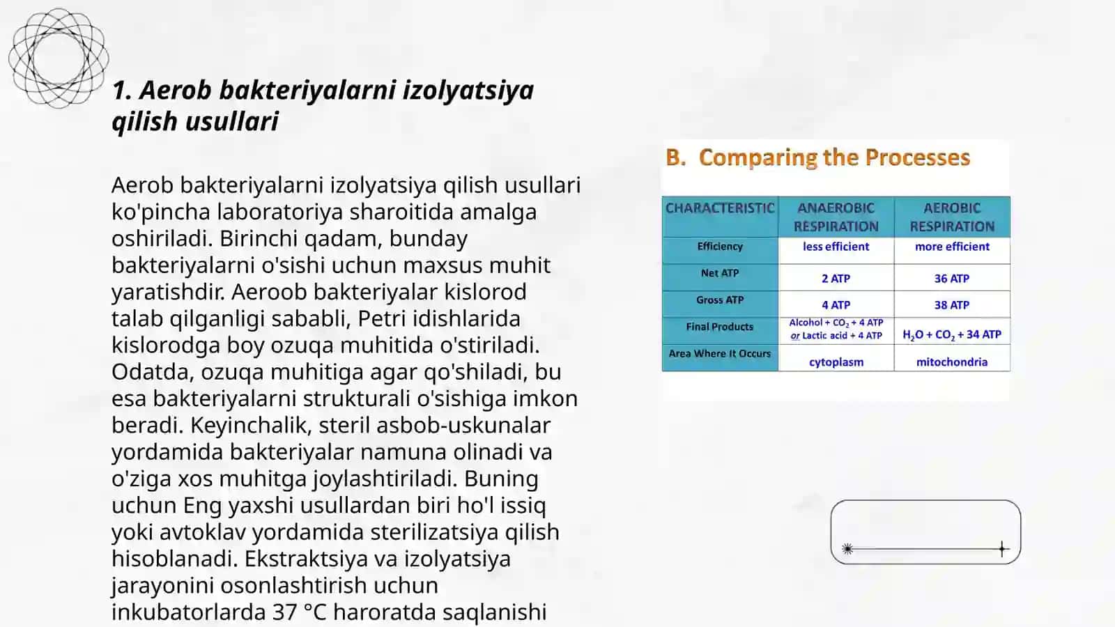 Aerob va anaerob bakteriyalarning sof kulturasini olish 3