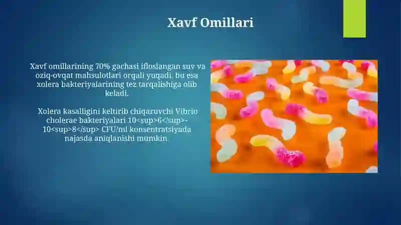 Ichak infeksiya qoʻzgʻatuvchilari. Vabo Komilov Asadbek 3