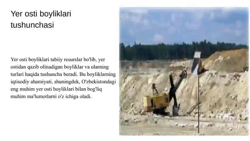 Yer osti boyliklari toʻgʻrisidagi qonun 3