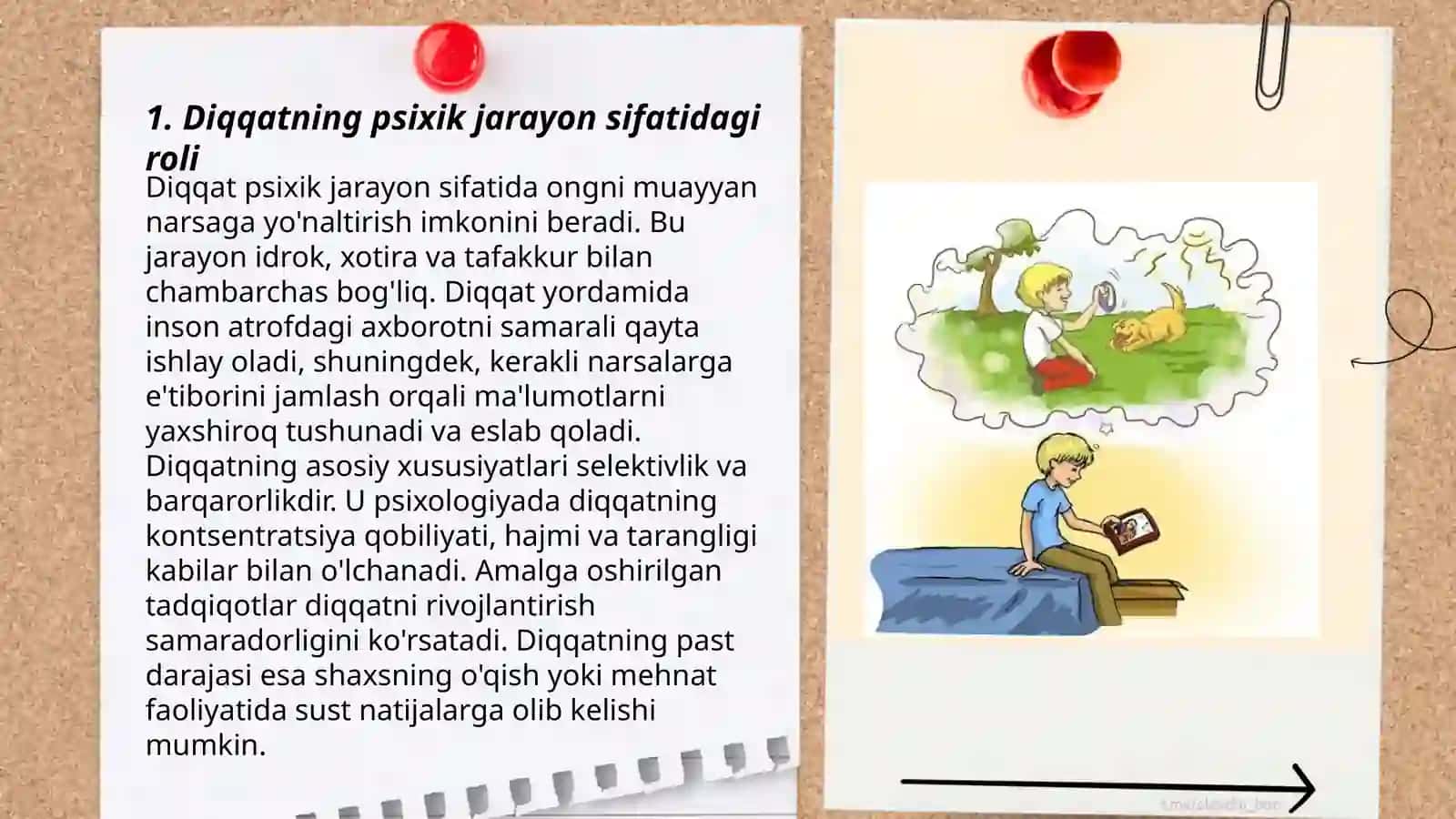 Diqqat va xotira-psixik jarayon sifatida 3