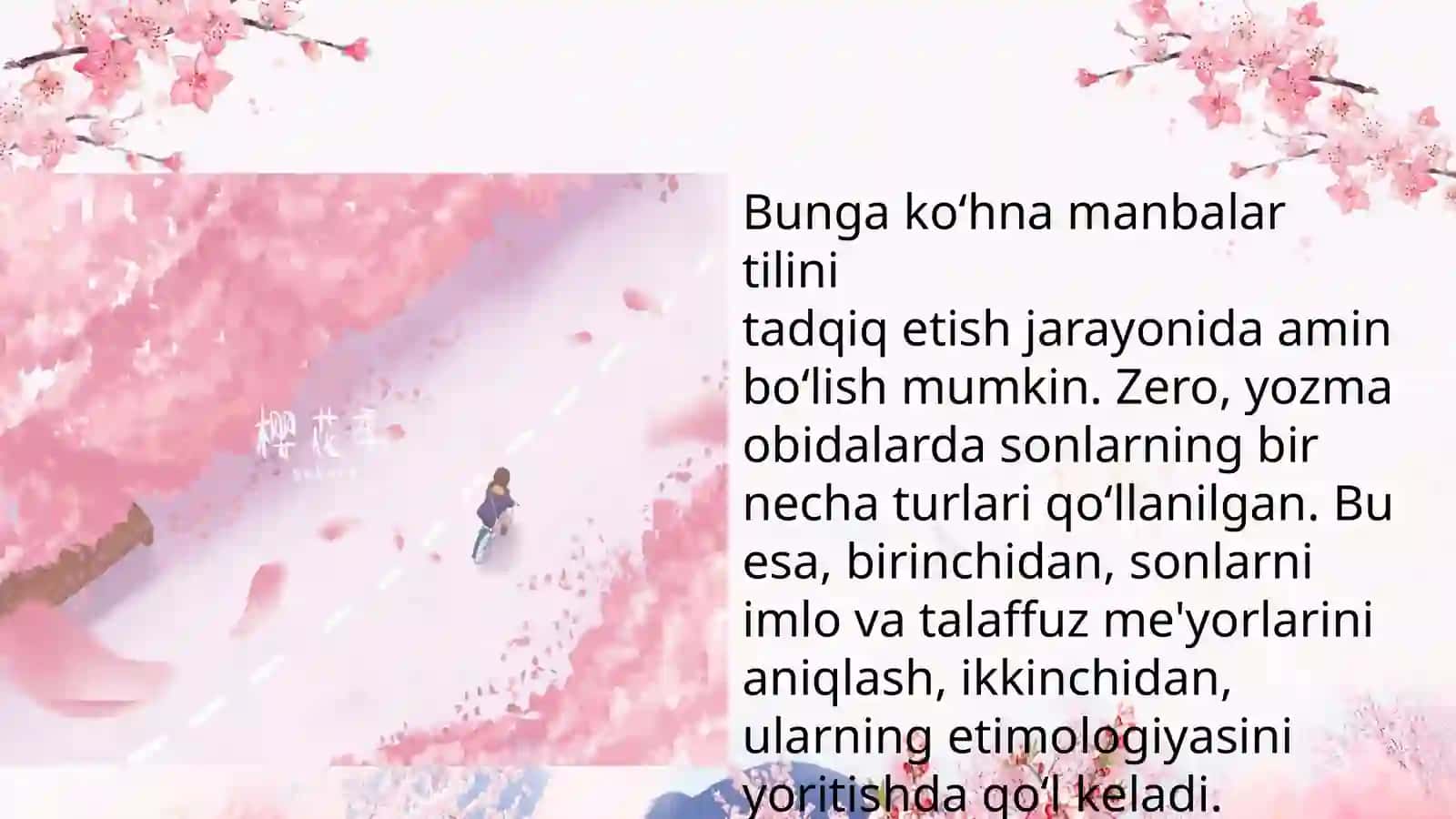 Son so‘z turkumi 3