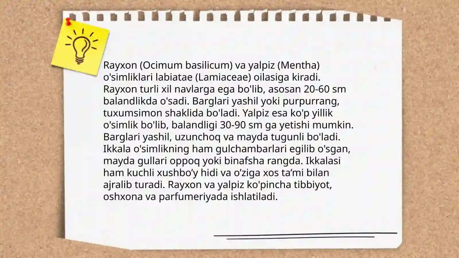 Rayxon va yalpiz o‘simligi haqida 3