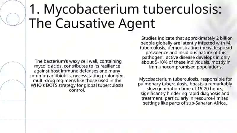 Pulmonary tuberculosis 3