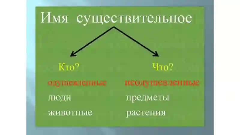 Таркатма саволлар руски язик. 3
