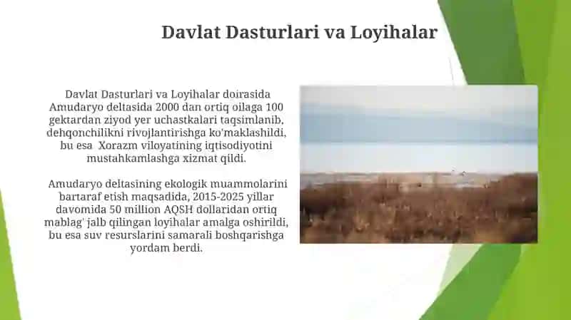 Amudaryo Deltasi: Muammolar va Yechimlar 3