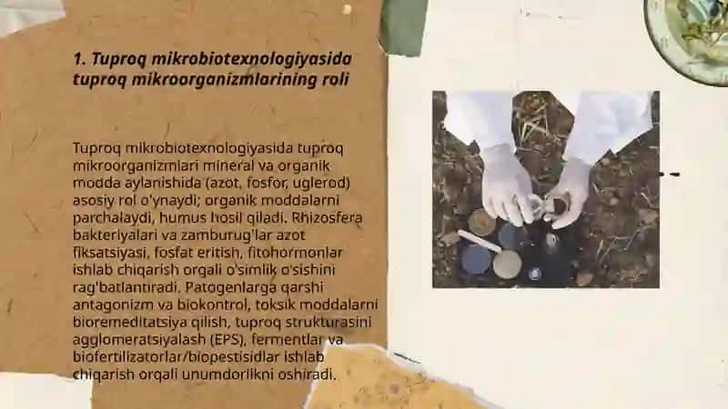 Tuproq mikrobiotexnalogiyasi 3