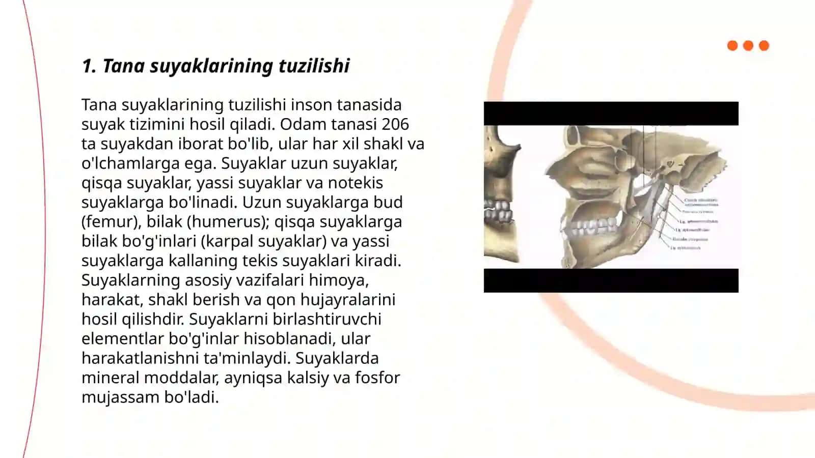 Birlashuvlar.Tana suyaklari birlashuvi va ularning bolalardagi xususiyatlari. Kalla suyaklarini birlashuvi. Chakka-pastki jagʻ boʻgʻimi 3