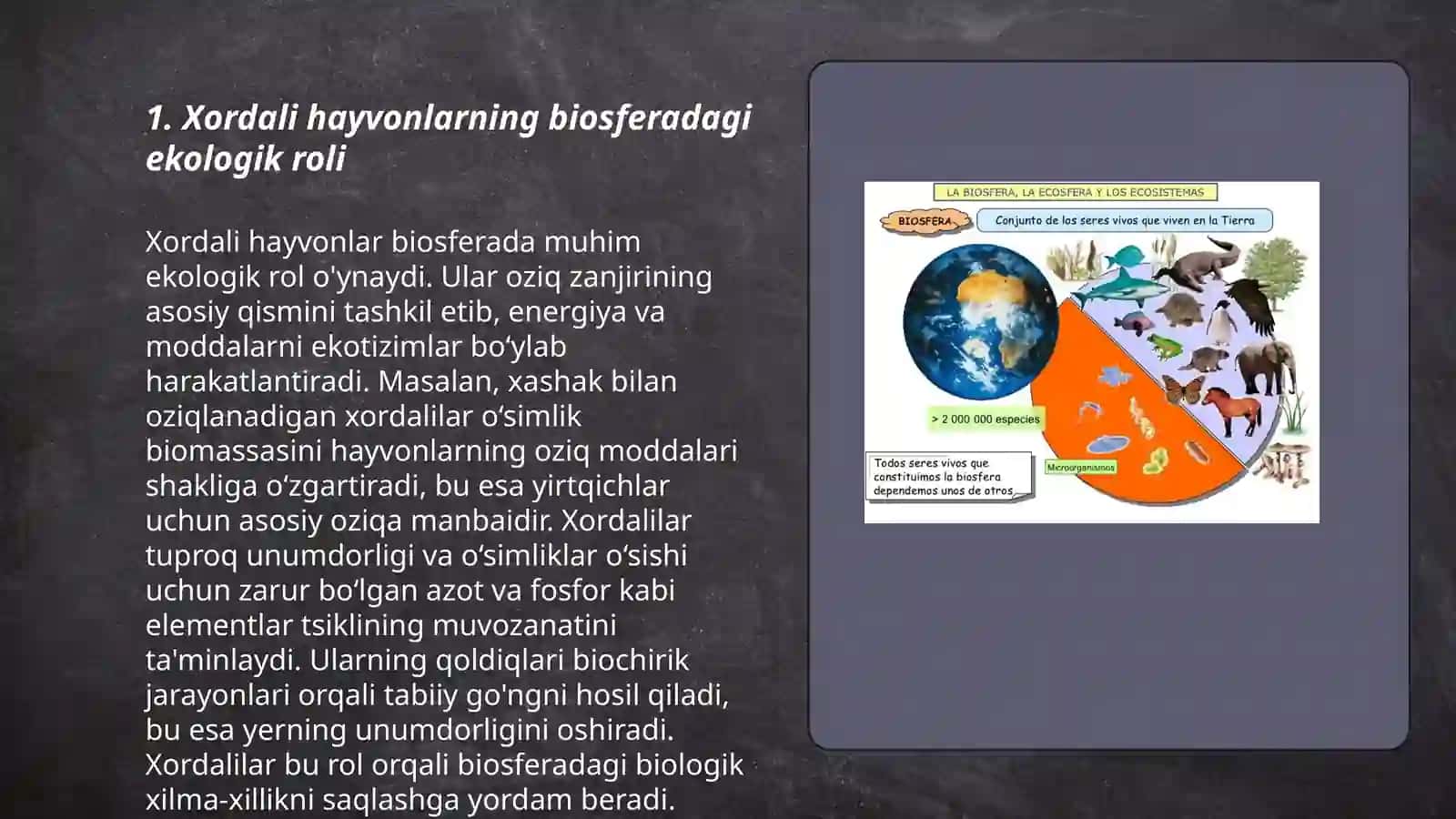 Biosferada xordali hayvonlarning tutgan oʻrni 3
