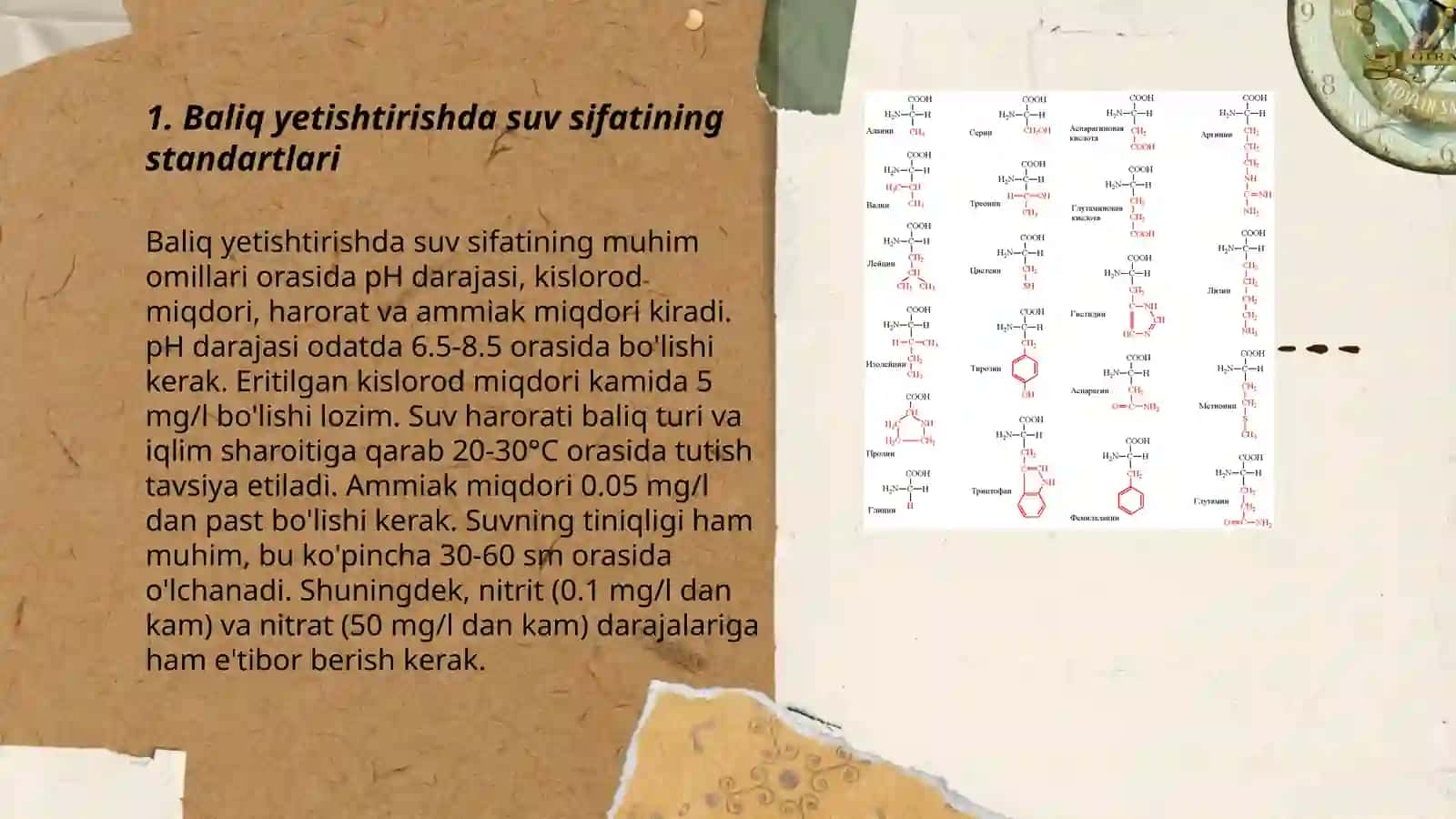 Baliq mahusoltlarini yetishtirishda standart talablari 3