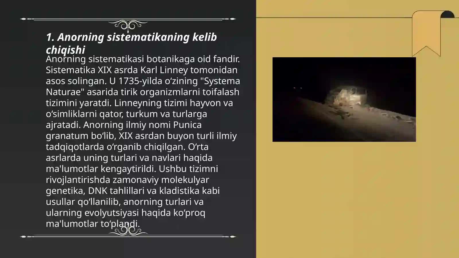 Anorning sistematikasini urganish 3