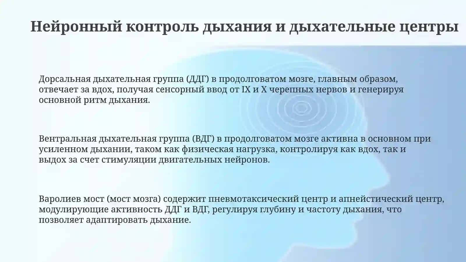 Регуляция дыхания 3