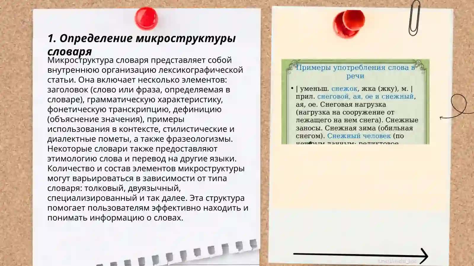 микроструктура лингвистического словаря 3