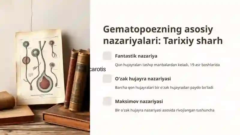 Gematopoez nazariyalari. 3