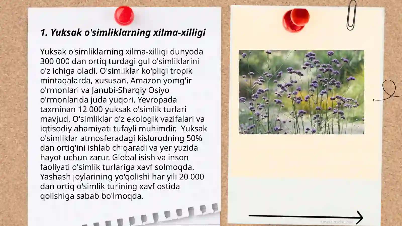 Yuksak õsimliklar 3