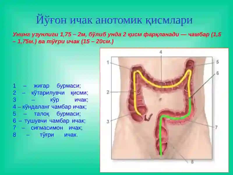 Йўғон ва тўғри ичак  хирургик касалликлари 3