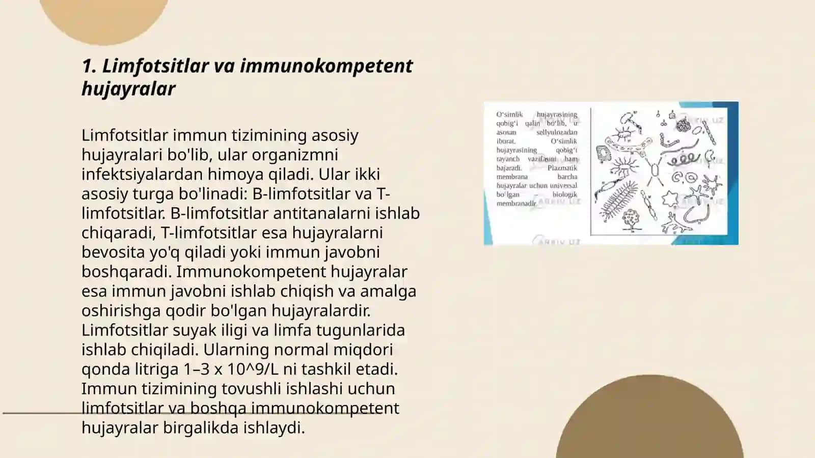 Immunokompetent hujayralarning kooperatsiyasi 3