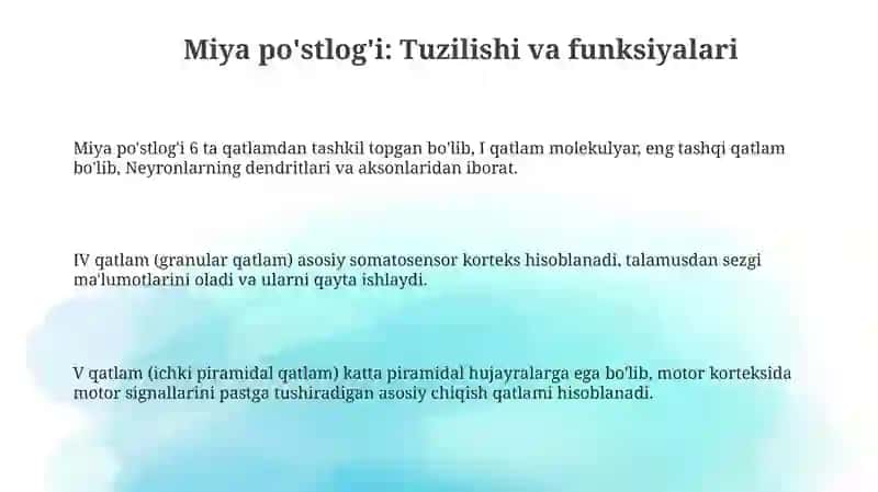 Miya po'stlog'ining tuzilishi va funksiyalari 3