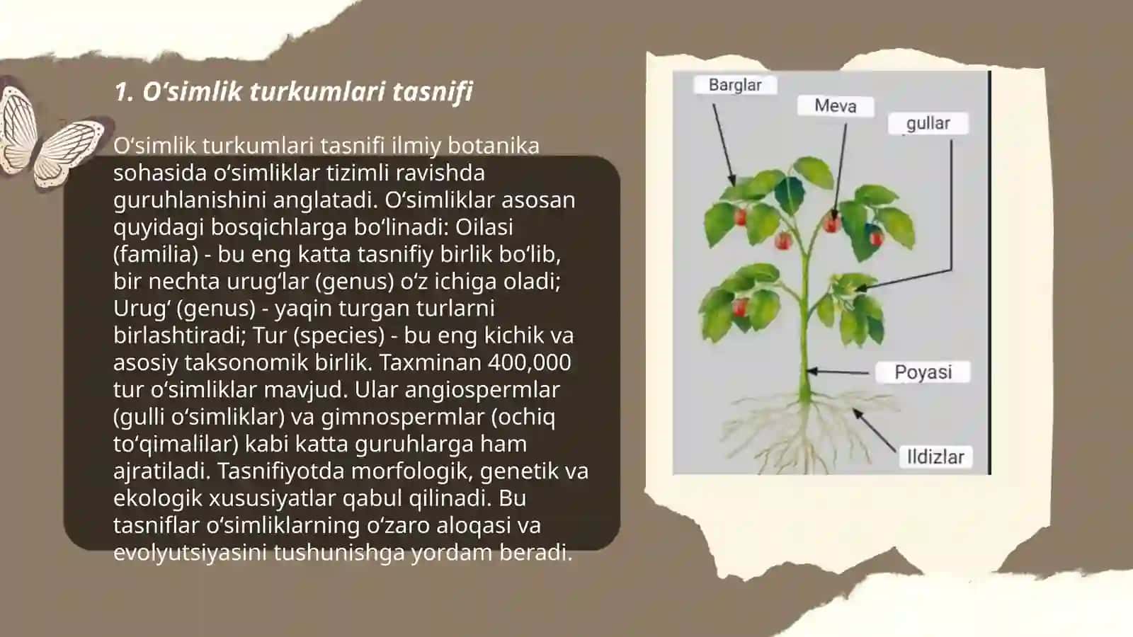 Oʻsimlik turkumlari va ularning joylashishi 3