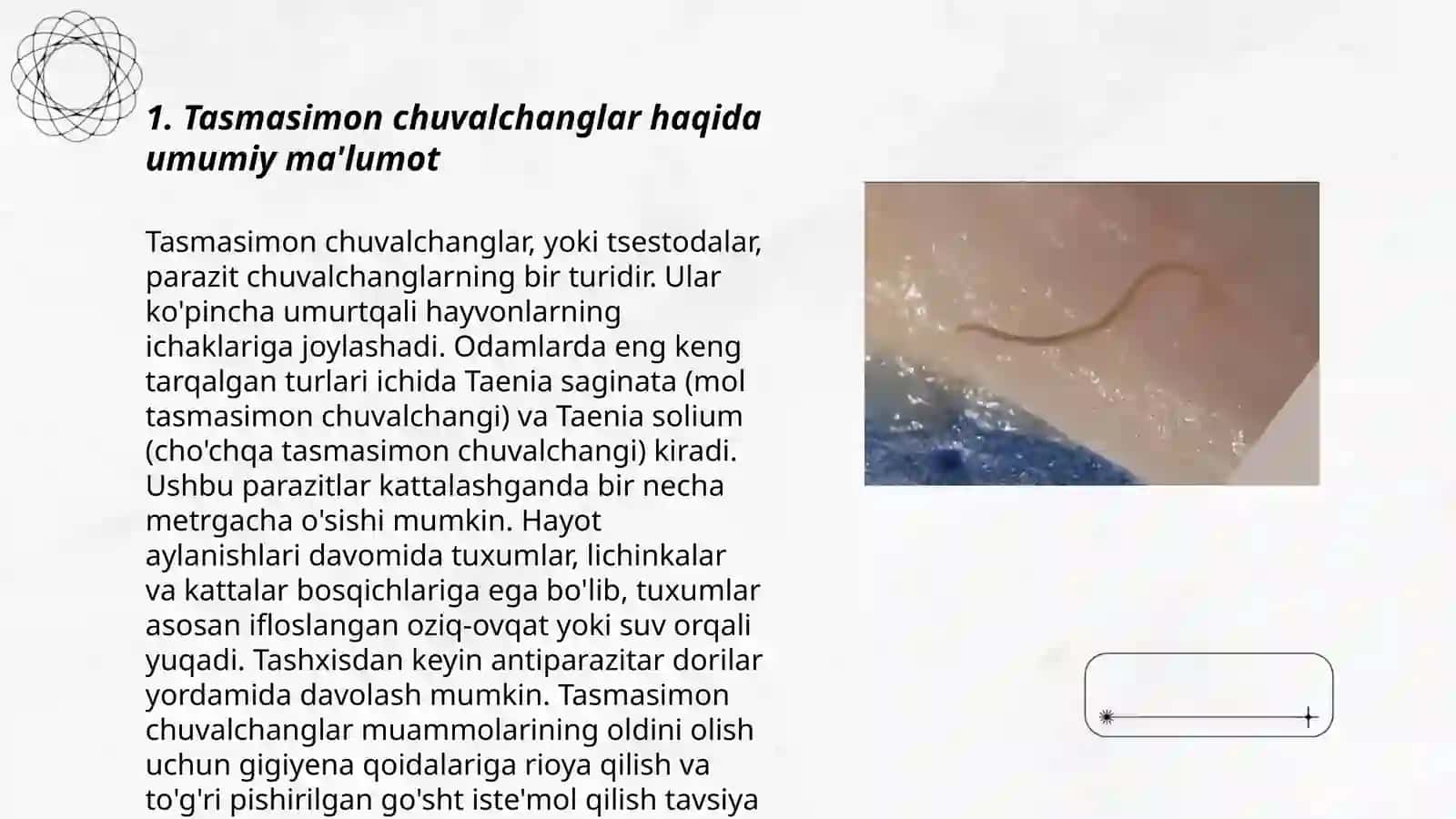 Tasmasimon chuvalchanglar va odam parazitlari 3