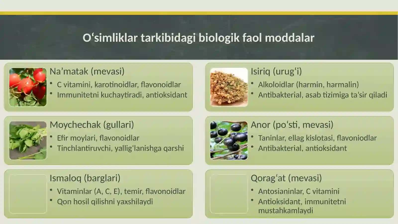 O‘simlikxomashyosidanbiologikfaolmoddalarniekstraksiyalash 3