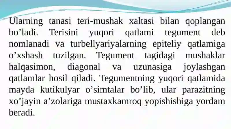 Soʼrgʼichlilar 3