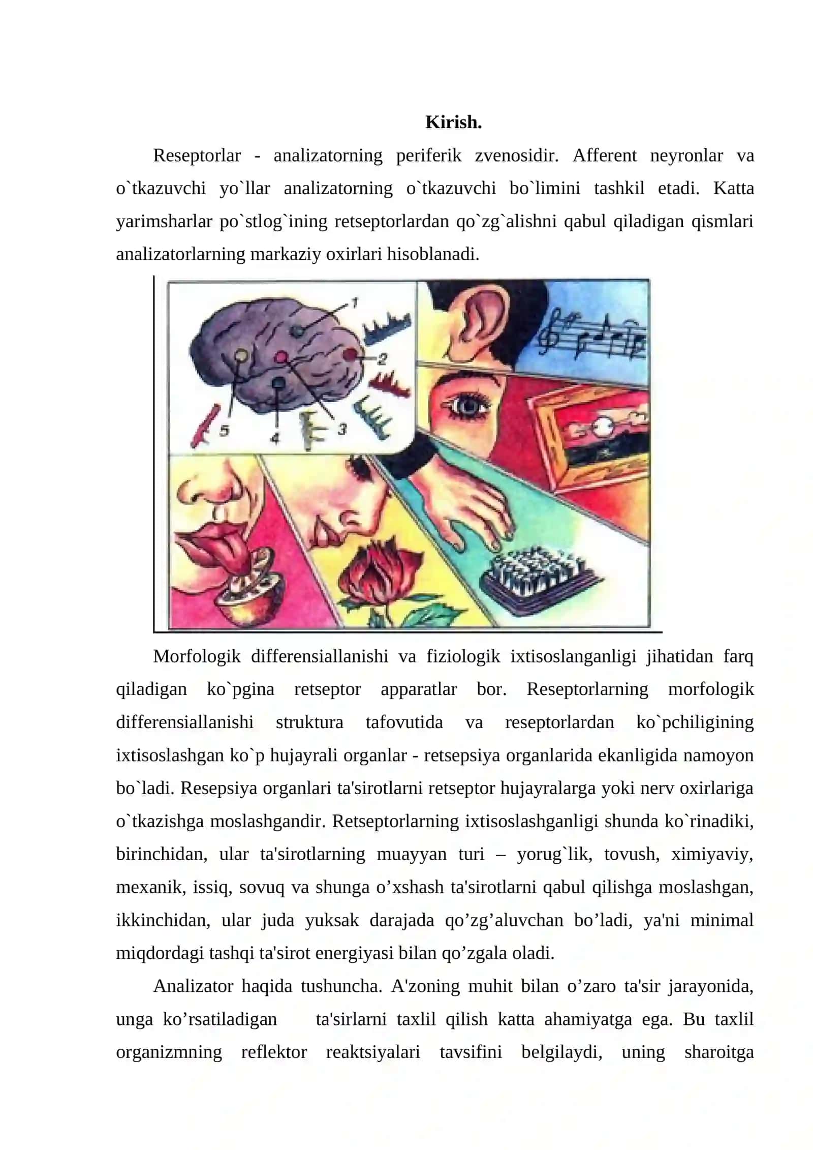 Sensor tizim fiziologiyasi 3