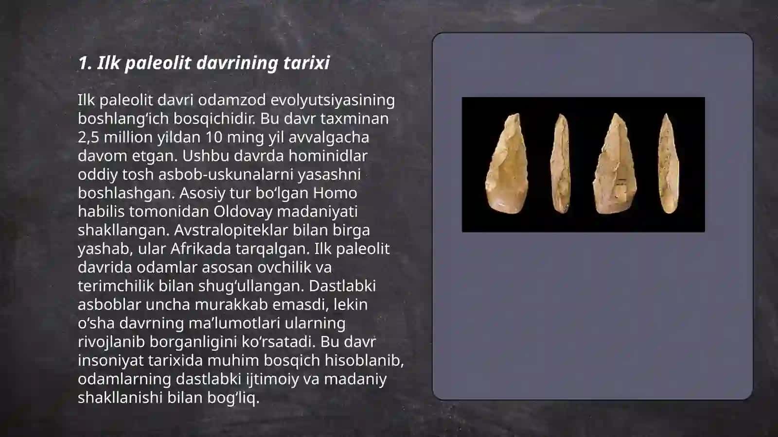 Ilk paleolit davri va uning o‘rganilishi 3