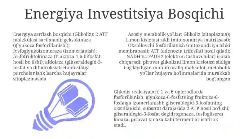 Glikolis: Umumiy ma'lumot 3