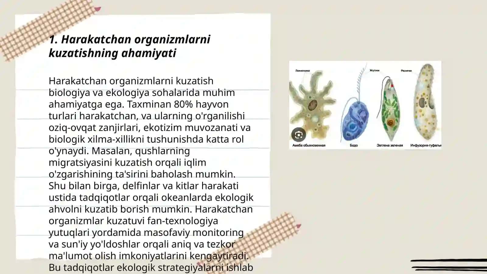 Harakatchan organizmlarni kuzatish 3