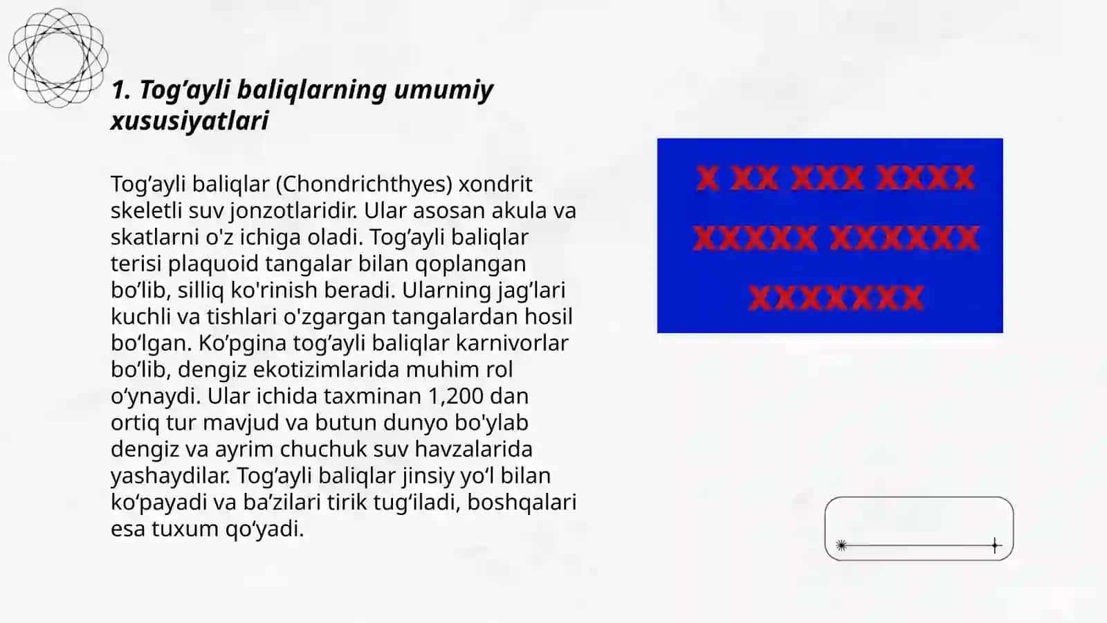 Tog’ayli va suyakli baliqlarning sistematikasi 3