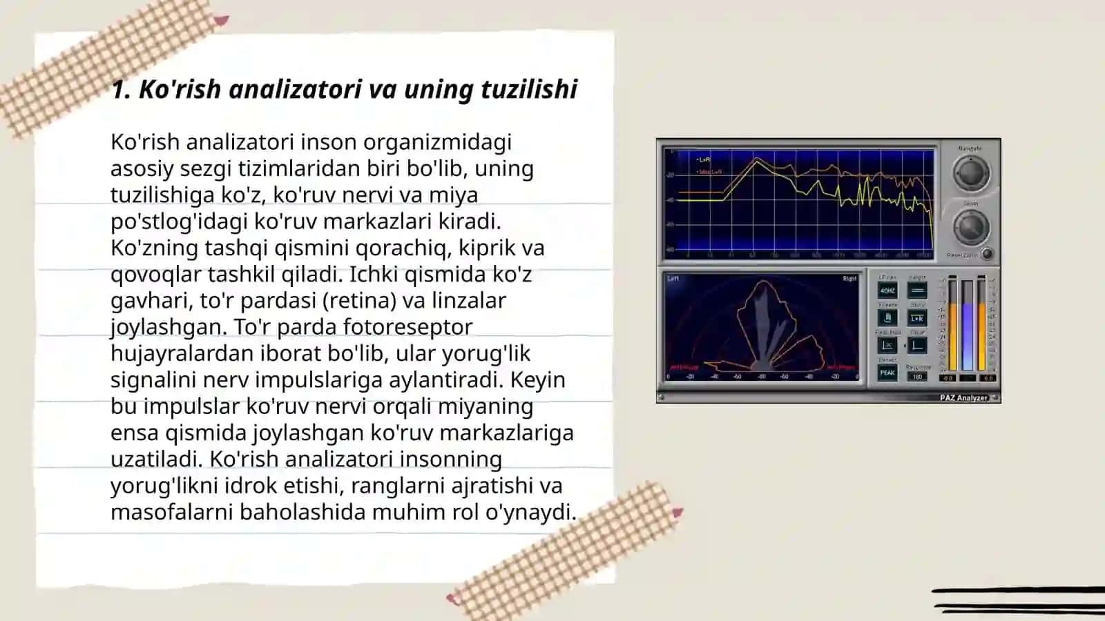 Ko'rish analizatori va uning tuzilishi 3