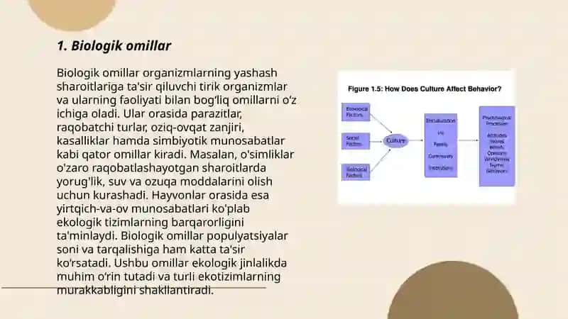 Biologik omillar 3