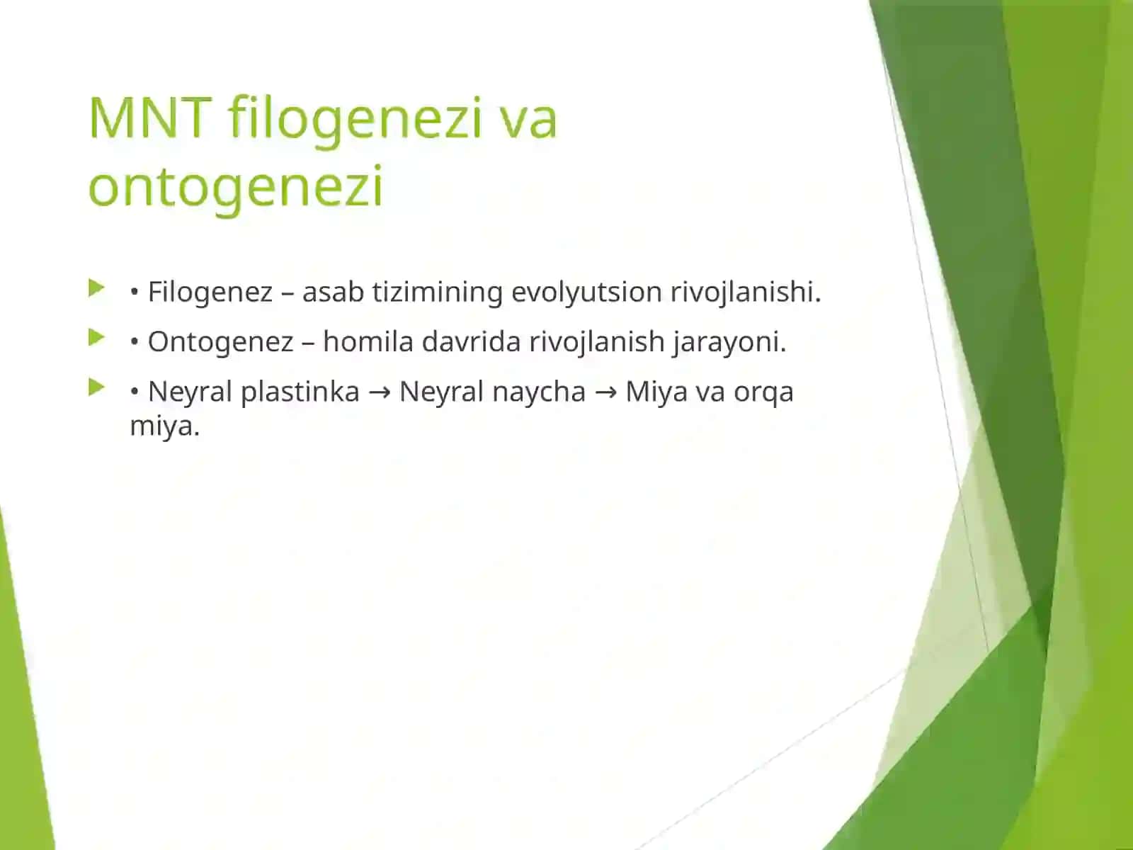 Markaziy nerv tizimi 3