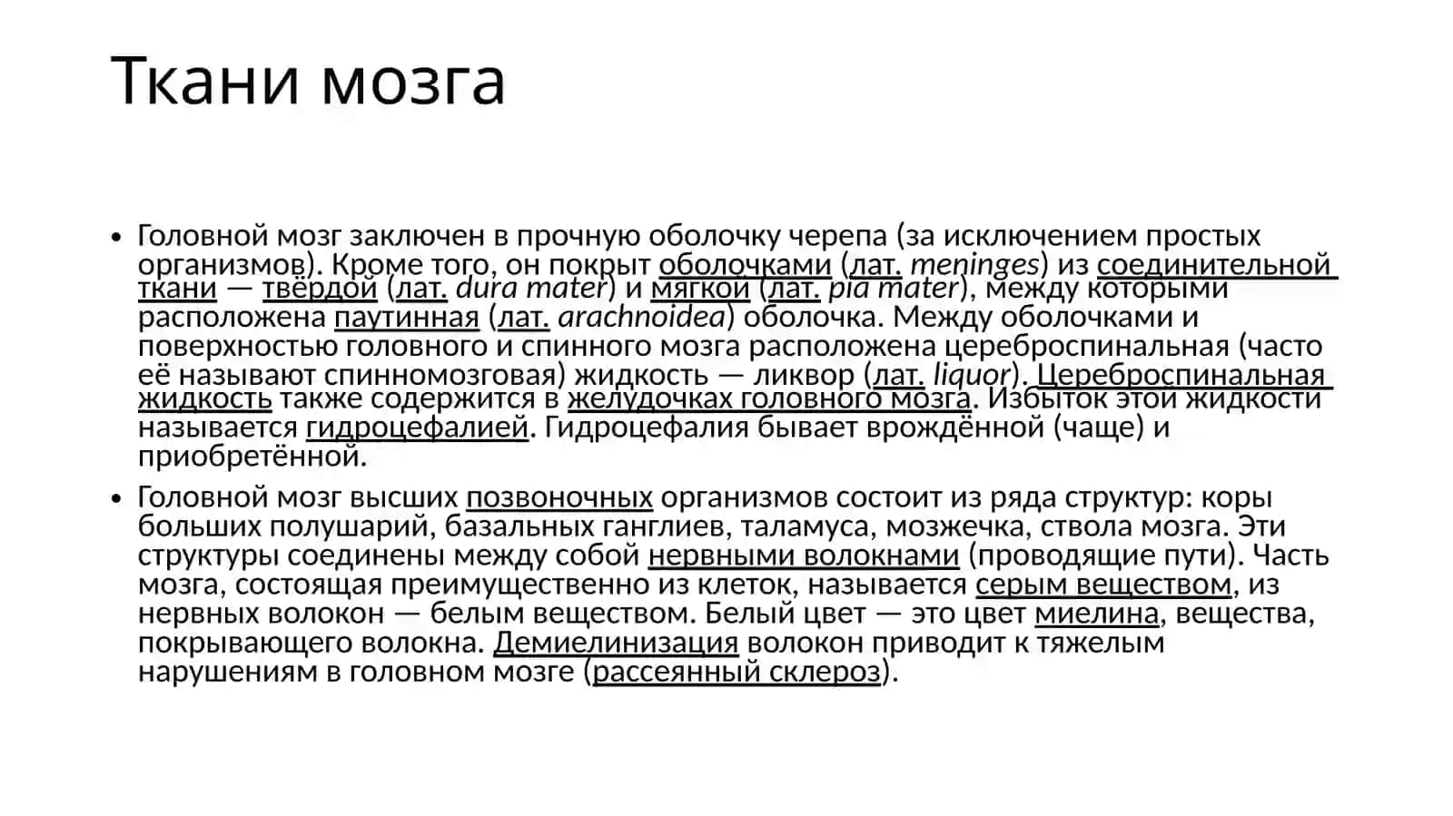 Головной мозг 3