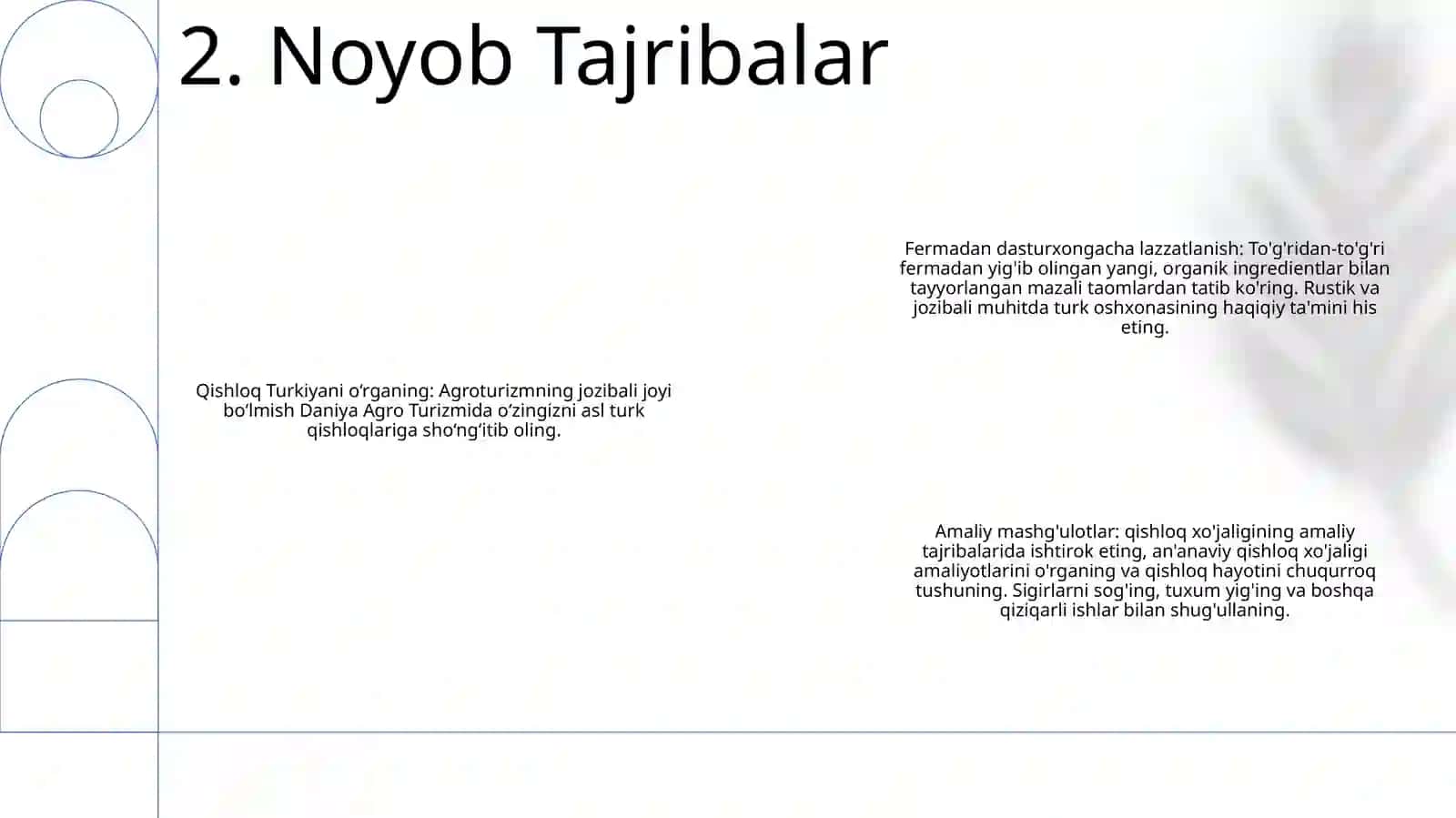 Daniya Agro Turizmi 3