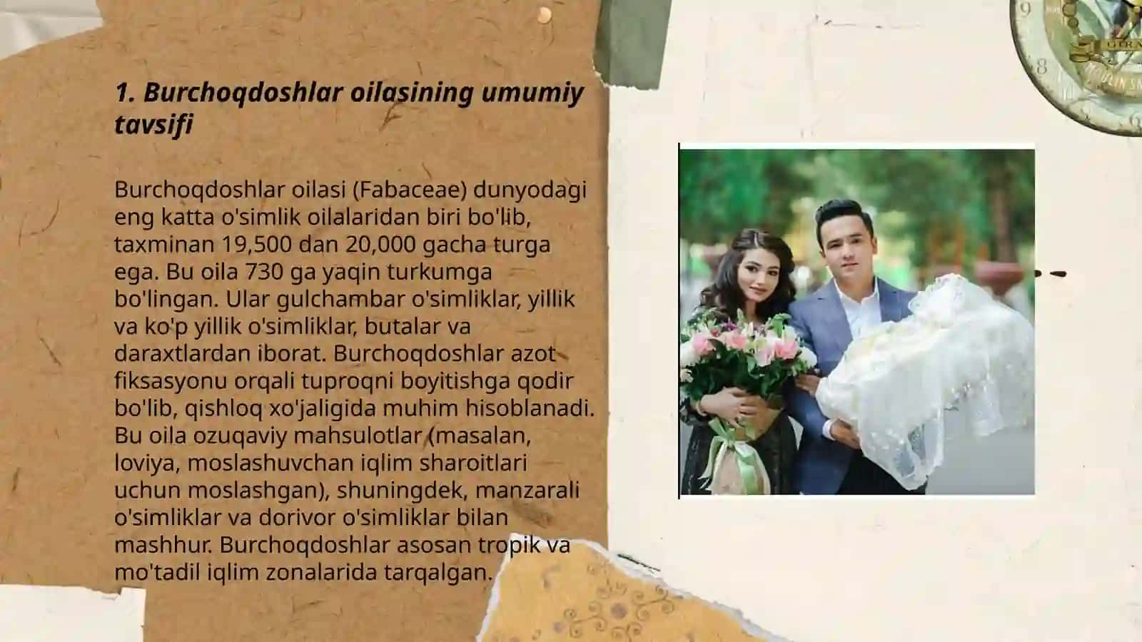 Burchoqdoshlar oilasi 3