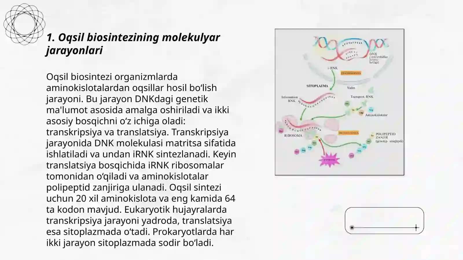 Oqsil biosintezi jarayoni 3