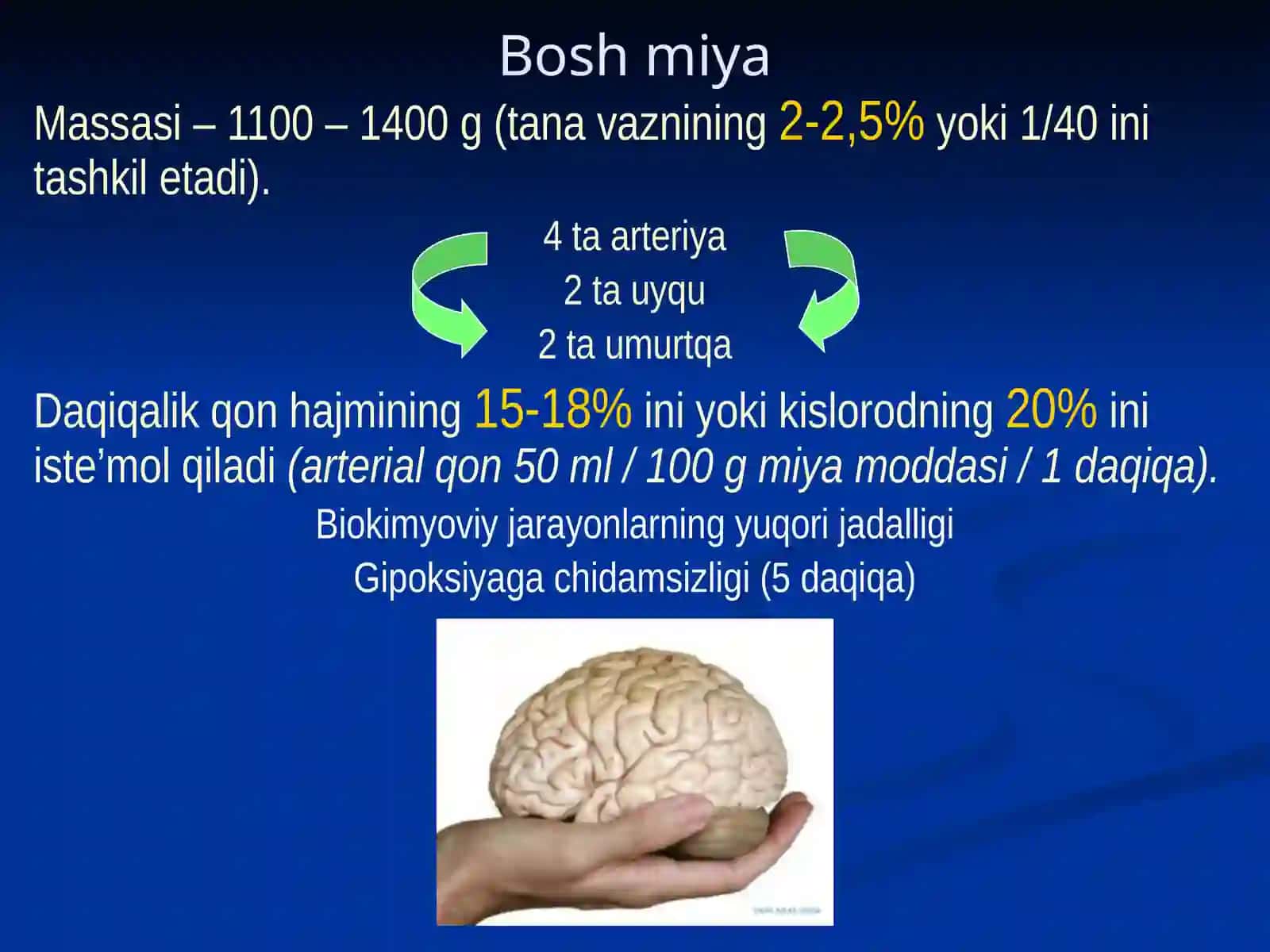 Maʻruza Bosh sohasi miya qismining klinika anatomiyasi 3