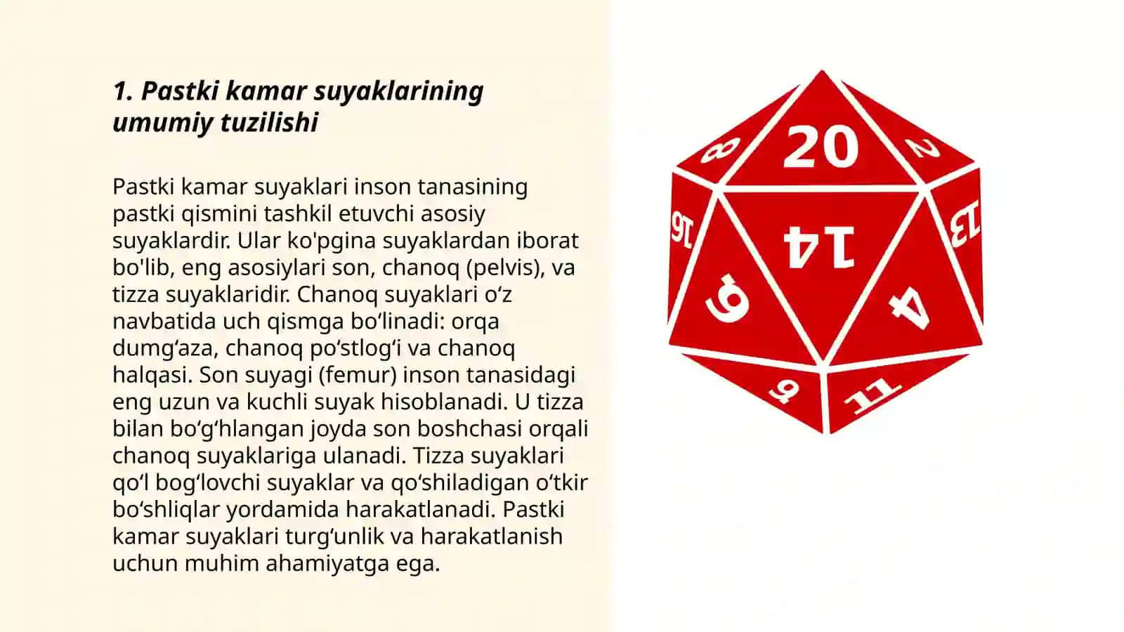 Pastki kamar suyaklarining tuzilishi 3