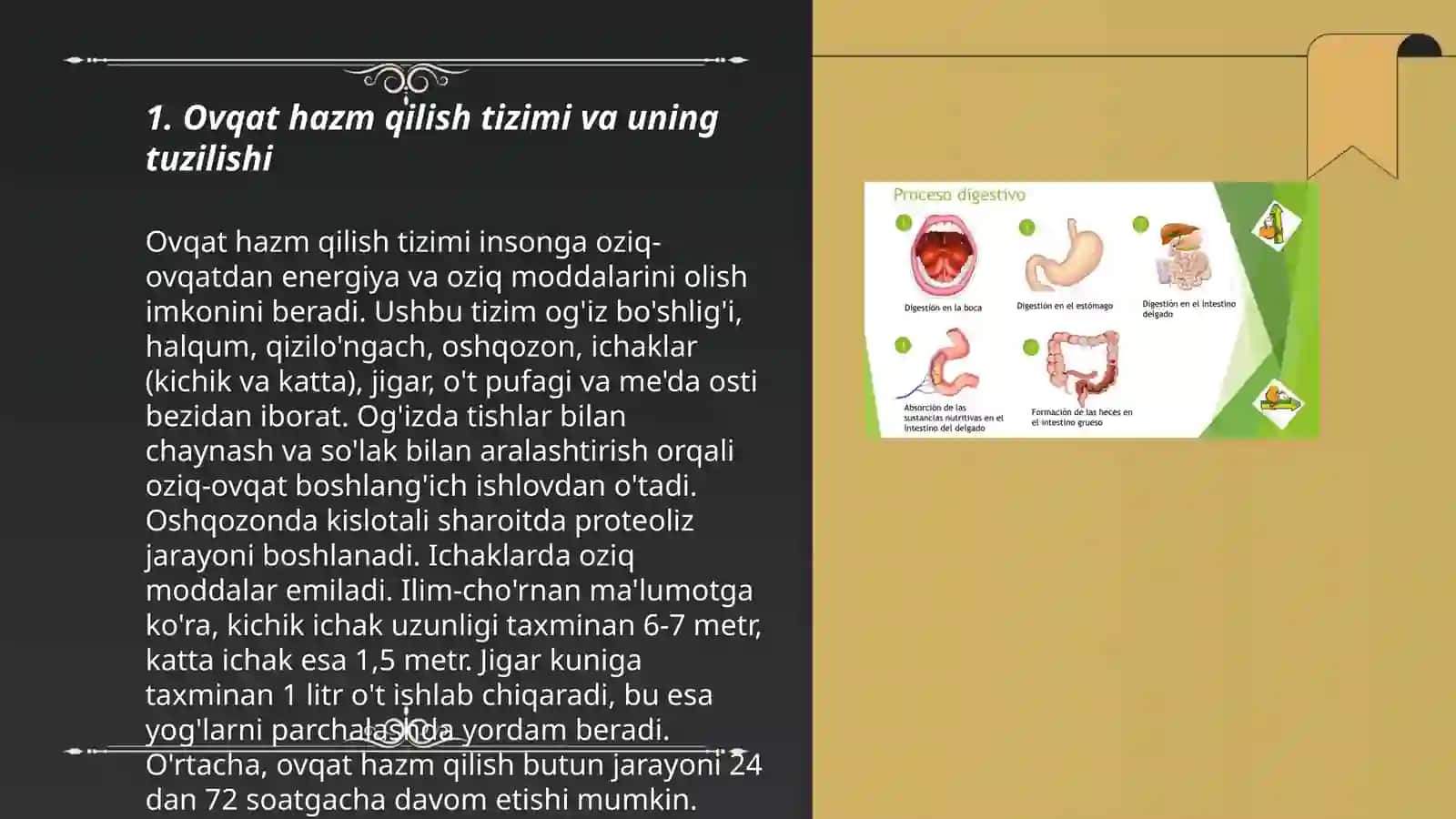 Ovqat hazm qilishni baxolash 3