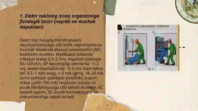 Elektr tokining inson organizmiga tasiri 3