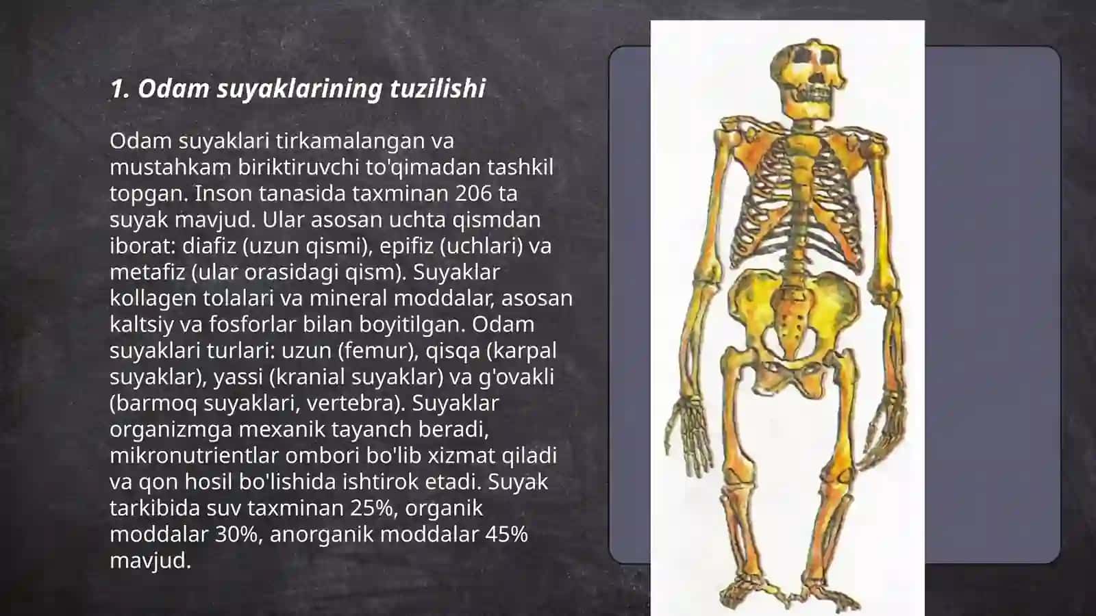 Odamsuyaklarini oʼrganish 3