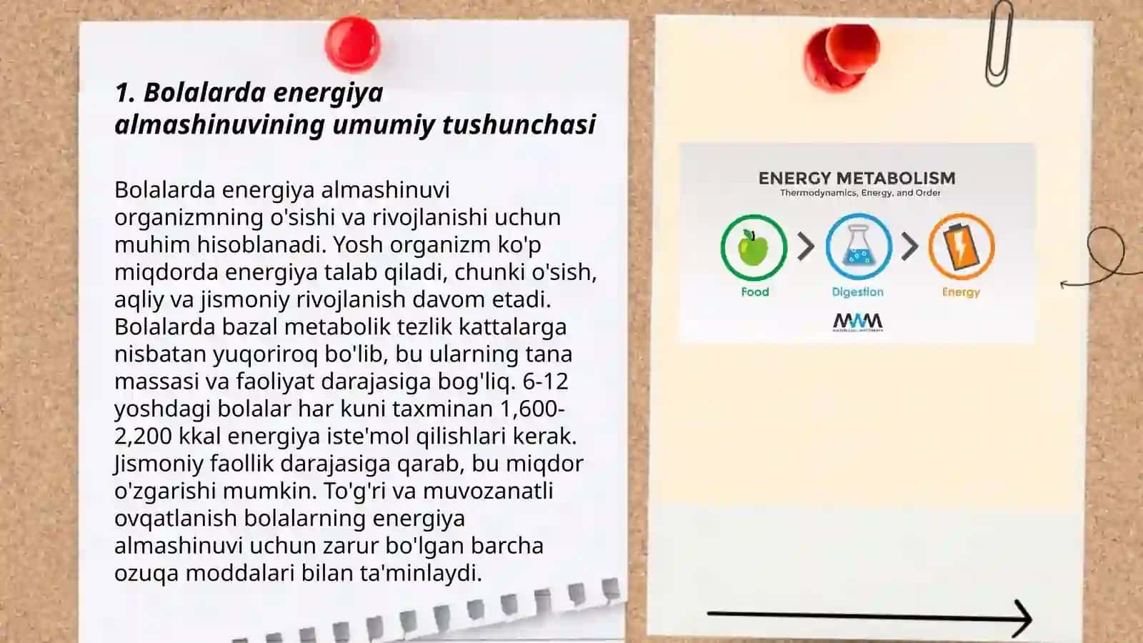 Bolalarda energiya almashinuvining o'ziga xos xususiyatlari 3