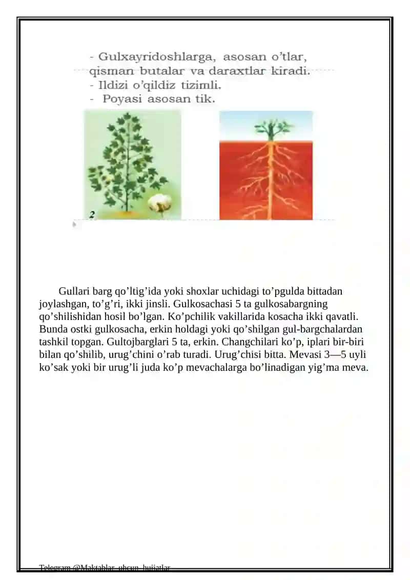 Gulxayridoshlar oilasi 3