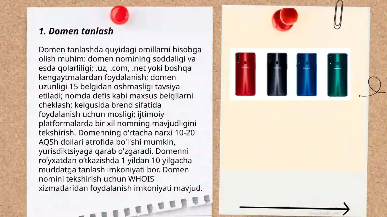 Domen tanlash 3