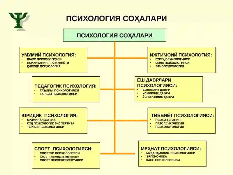 Умумий психология 3