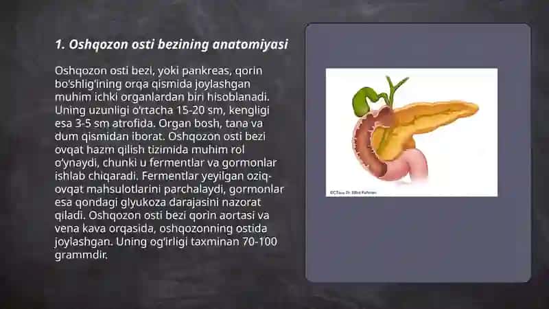 Oshqozon osti bezi 3